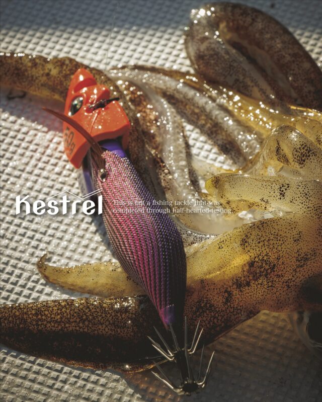 #ティップランエギ
【 Kestrel（ケストレル） 】
.
ケストレルを多くの皆様にご使用いただき、
各地域での釣果を拝見するたびに嬉しく思います。
シーズン終盤も終盤ですがまだまだ釣れる地域もあるので、
これからも皆様の釣果を楽しみにしております♪
.
今回は「追加シンカー」に関して。
このケストレルはテスト段階から
YAMASHITA様の「エギ王TRシンカー」を装着してテストを行ってきました。
装着できるシンカーも複数あると考えられますが、
テスト段階で使用してきたシンカーを我々は推奨しております。
シンカーによって、水を押す力に変化が起こるので、
釣果にももちろん変化は起こると考えられます。
推奨は提示させていただきますが、
色々試していくこともティップランの楽しさだと思うので、
ぜひお客様の方で色々試していただければなと考えております。
.
しかし、一つだけ言うとすれば…
ケストレルの最も大切な部分はバランスによって成り立っているというところ…。
なぜ我々がエギ王TRシンカーでテストしてきたか。
そこにも「釣れる本質」のヒントが隠れているのかもしれません。
.
いろんなことを自ら試すことで見えてくることがきっとあります。
SNSでのオススメではなく、自分で色々と試すことに意味があるのかもしれません。
また、今後の使用で、シンカーに関してお気付きの点などありましたら、
イベント時などに教えていただければと思います。
.
.
.
（こちらのアカウントは情報発信専用のアカウントのため、コメントやDMへの返信は基本的に行っておりません。ご理解のほどよろしくお願い致します。）
.
.
公式インスタ写真&デザイン→ @renson428 
.
CRONO代表個人アカウント→@crono.kanji_kohama 
.
#crono #クロノ #ティップラン #ケストレル