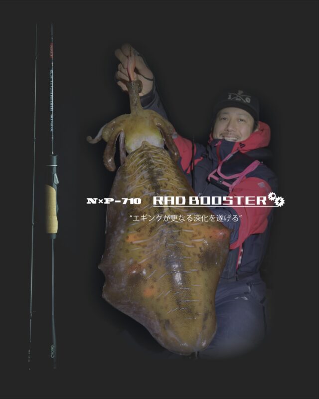 #売れるモノより釣れるモノ
【 NXP-710 RAD BOOSTER 】
監修 : プロスタッフ笠松仁（ @hk_jinjin_upsetter ）
.
エギングが更なる深化を遂げる " RAD BOOSTER ”
柔よく剛を制す…
CRONOのエギングロッド初の工法を取り入れたブランクスは
柔らかさの中に芯があり繊細さと力強さの相反する顔をもつ
大胆かつ繊細なエギング専用ロッド。
シャープでありながら柔らかいブランクスに仕上がりました。
ティップには違和感を保持させる高密度のショートソリッドを搭載。
ガイドセッティングは小口径の多点（14点）設定。
アウトガイドながらインターラインのような耐風性と操作性、ブランクスを最大限活かす設定となっております。
.
⚫︎価格 64,900-（税込）
⚫︎ネーム部ロゴカラー2色（R-BOX、LB-BOX）
.
【小売店様へ】
本日、正午より小売店様の受注が開始となります。
今回、バット部分のボックスロゴを2色ご用意しているため、それぞれの生産本数は少なくなっております。
受注オーバーしたした際は、それ以降のご注文はお受けできませんので、ご理解の程よろしくお願い致します。
※事前に店頭予約を受け付けている小売店様はご注意ください。独自で事前予約を受け付けている小売店を優先した納品などは行なっておりません。
.
.
.
（こちらのアカウントは情報発信専用のアカウントのため、コメントやDMへの返信は基本的に行っておりません。ご理解のほどよろしくお願い致します。）
.
.
公式インスタ写真&デザイン→@renson428
.
.
CRONO代表個人アカウント→@crono.kanji_kohama 
.
#crono #クロノ #エギング #エギングロッド